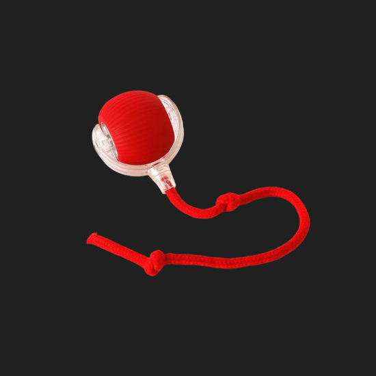 Interactive toy ball